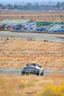 media/Nov-16-2024-Extreme Speed (Sat) [[6587d07cc4]]/Gold Group/Session 1 (Turn 2)/